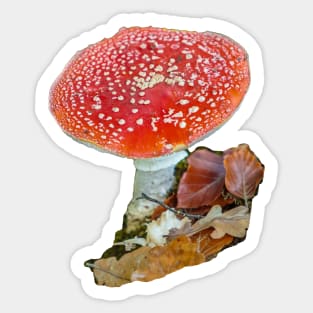 Fly Agaric Mushroom Sticker